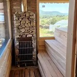 стара голица