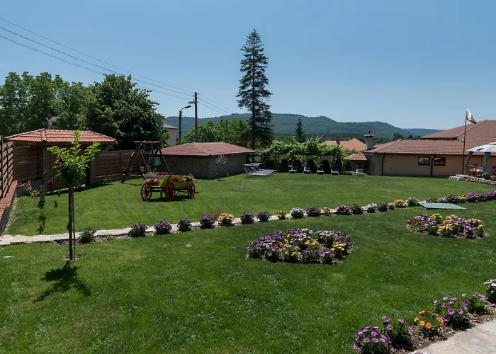 Vila стара голица *